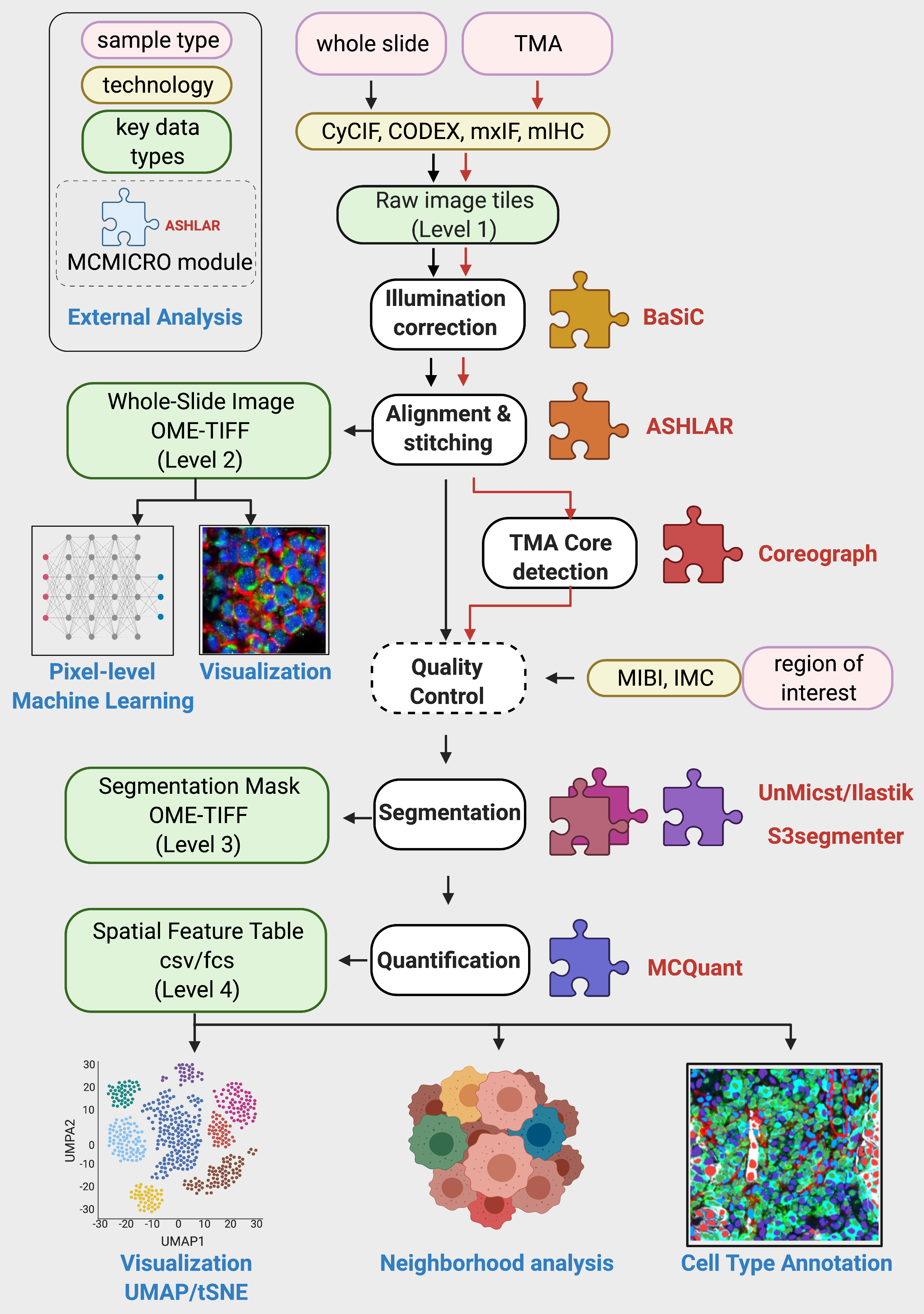 mcmicro inputs and outputs