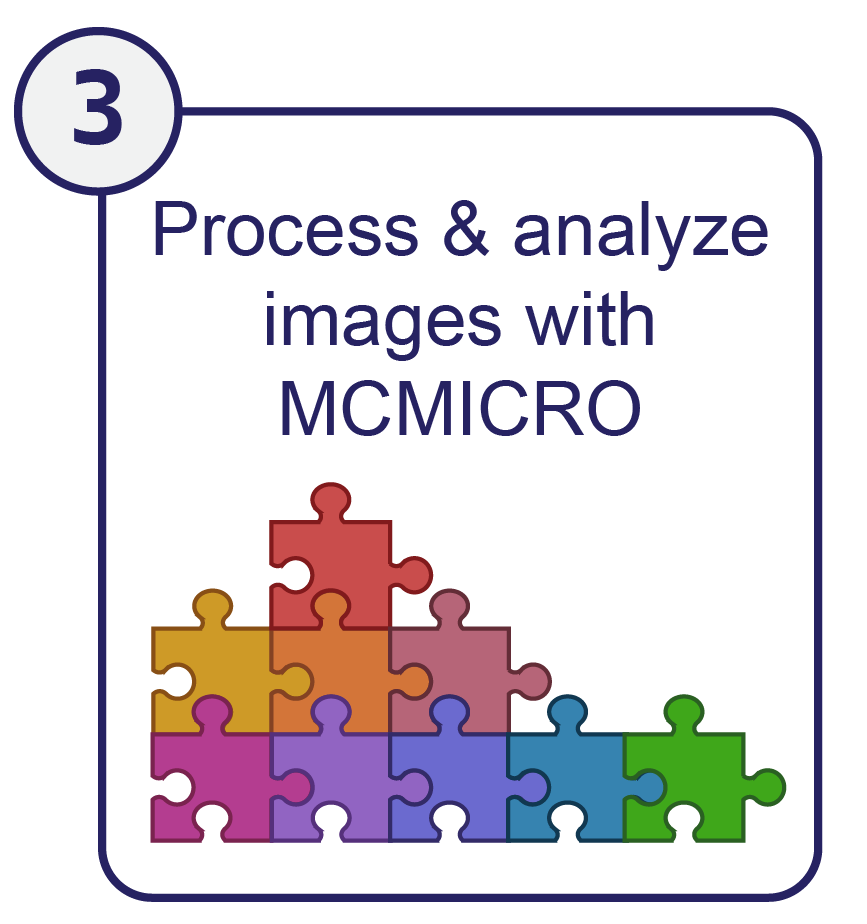 step3: process and analyze images with mcmicro. Image of connected puzzle pieces.