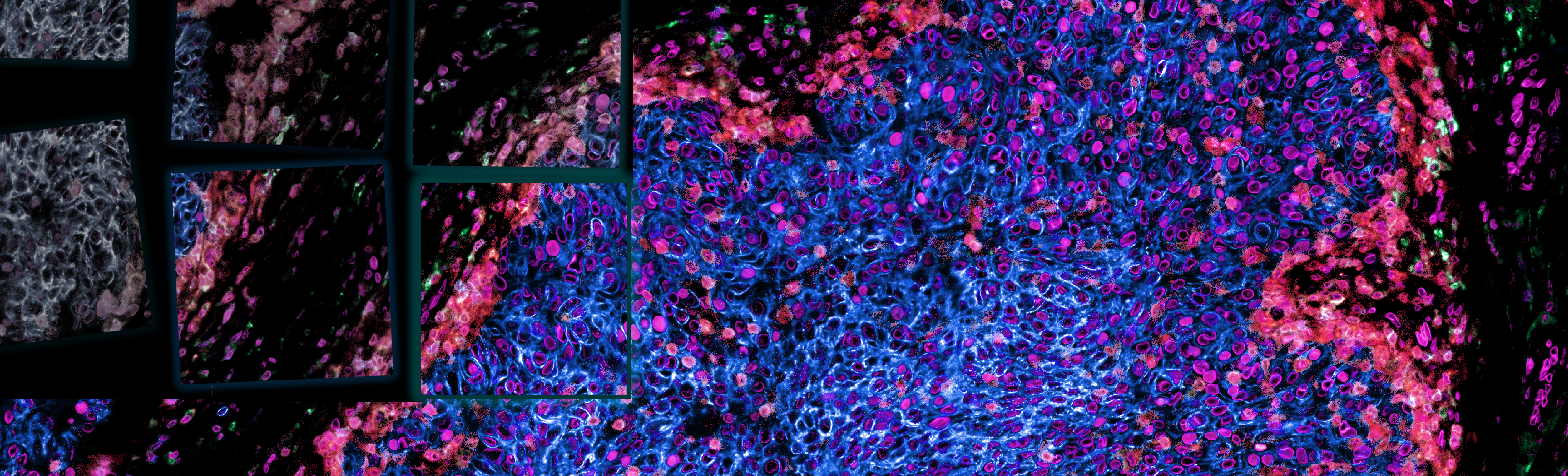 Visualization of illumination correction and stitching into a mosaic image