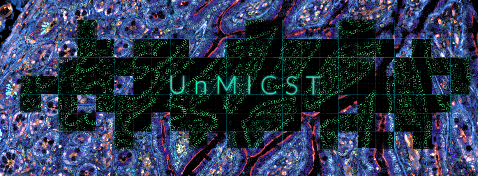UnMICST banner image